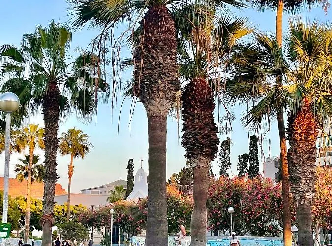 El Dorado Estrella * 플라야데라스아메리카스